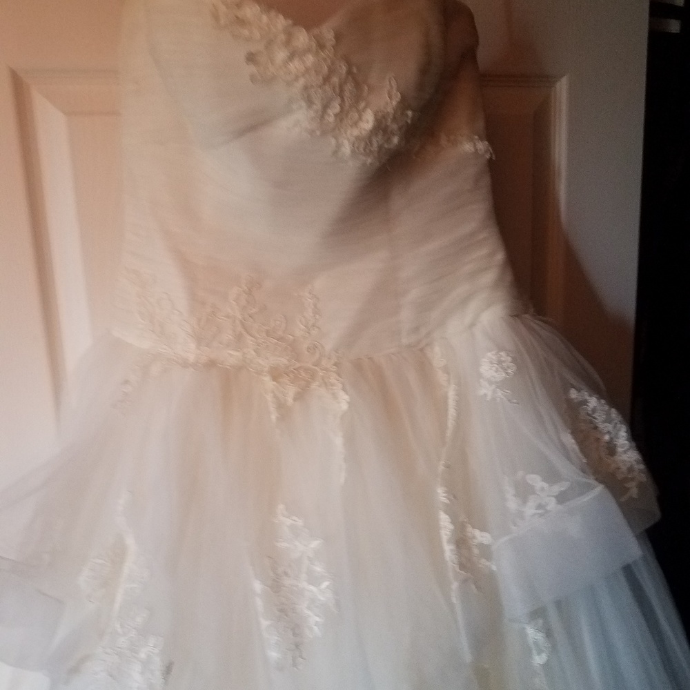 Dress - Picture 2 of 6